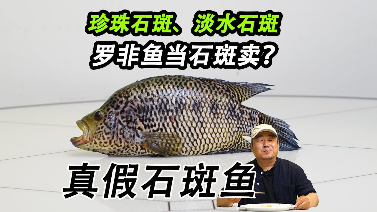长的像罗非鱼，却号称淡水石斑、珍珠石斑，它是不是罗非鱼当石斑卖？