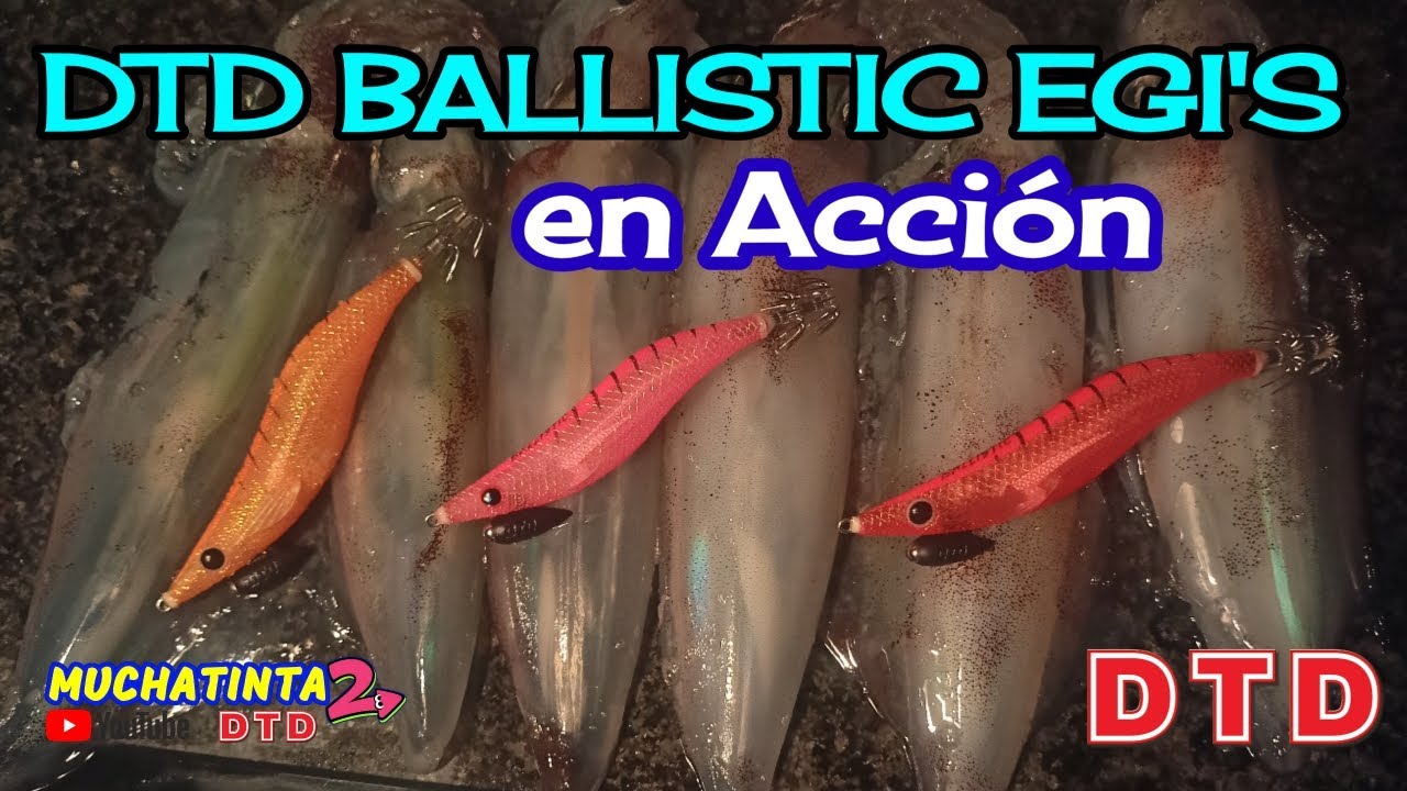 CALAMARES DESDE COSTA con las DTD BALLISTIC EGI🦑🦑