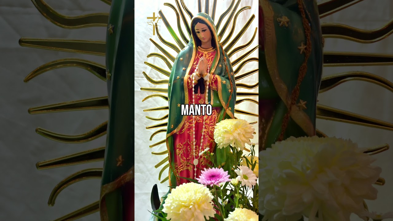 Prote&ccedil;&atilde;o Maternal, Amado Deus, momento de ora&ccedil;&atilde;o