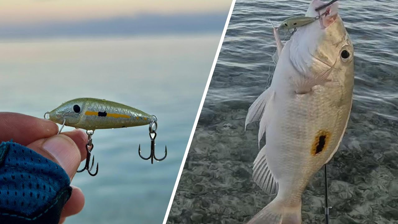 Shore Casting at Albion with homemade TiRouget.. Fishing Beach Mauritius