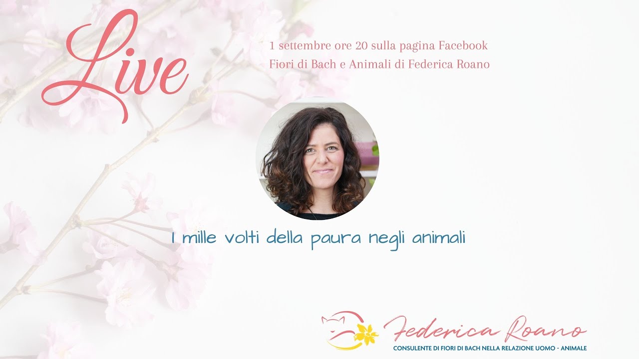 I mille volti della paura negli animali