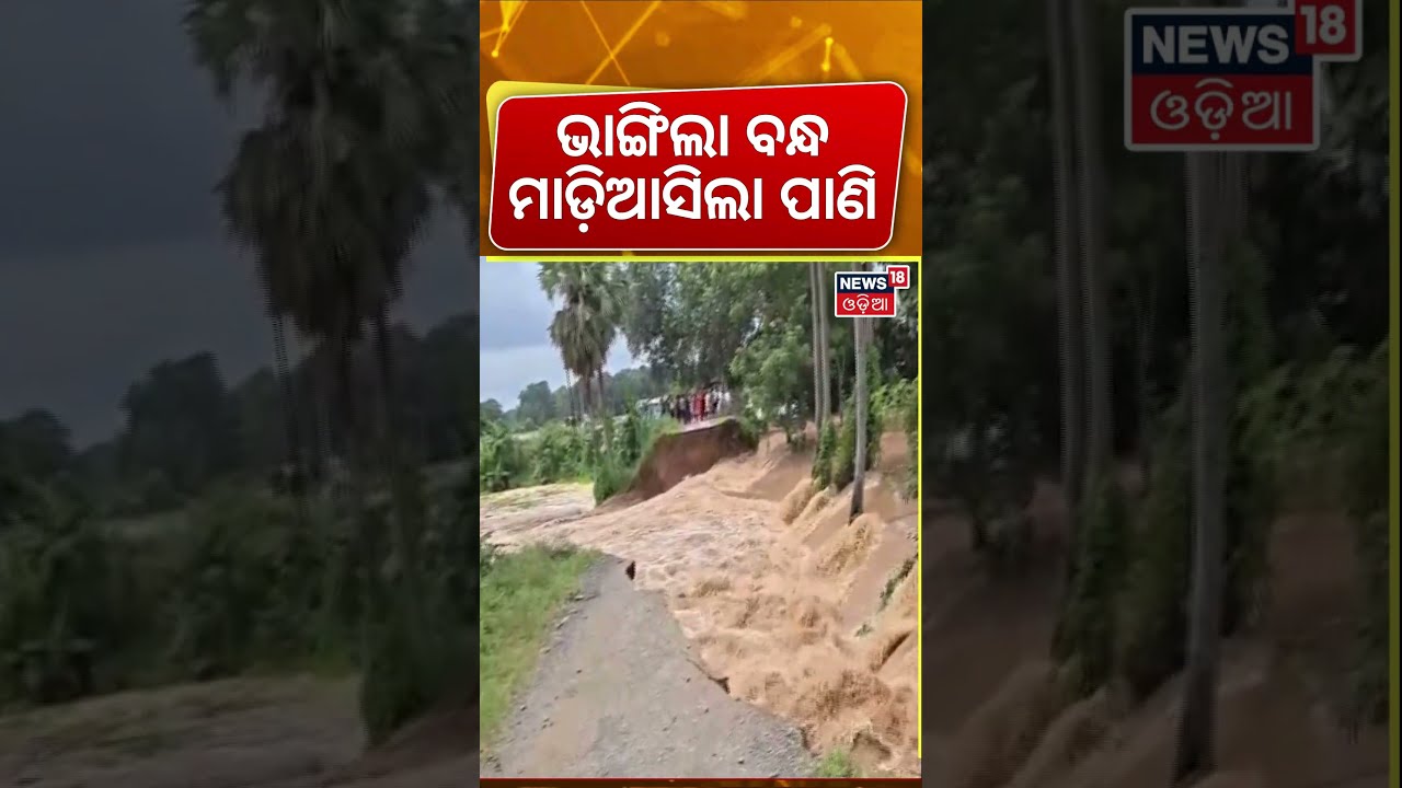 ଭାଙ୍ଗିଲା ବନ୍ଧ | ମାଡ଼ିଆସିଲା ପାଣି...Jajpur Flood |Dangerous Situation As Baitarani & Brahmani Overflow