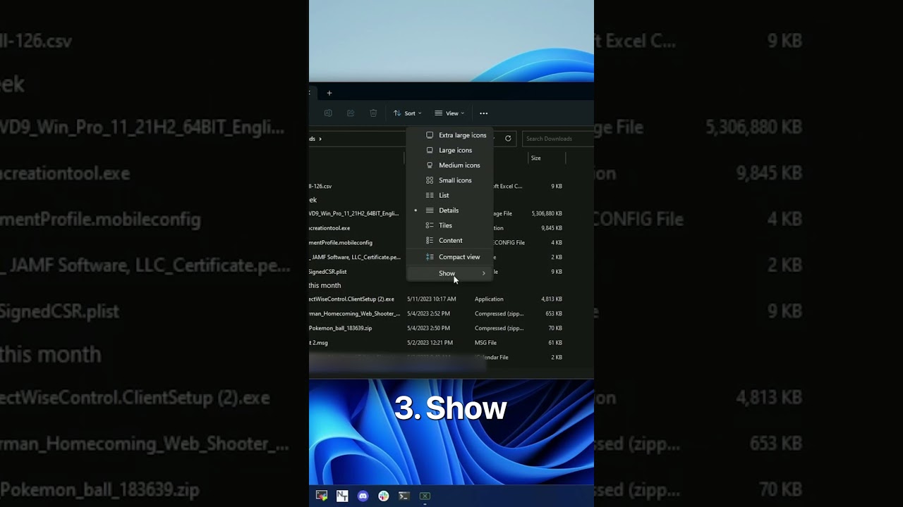 Показывать скрытые элементы (файлы) в Windows 11