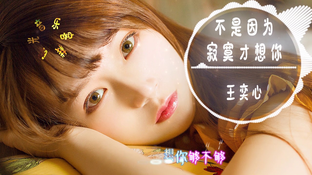 王奕心 - 不是因为寂寞才想你||爱的时光勿勿，离别后方知心里痛【動態歌詞Lyrics】