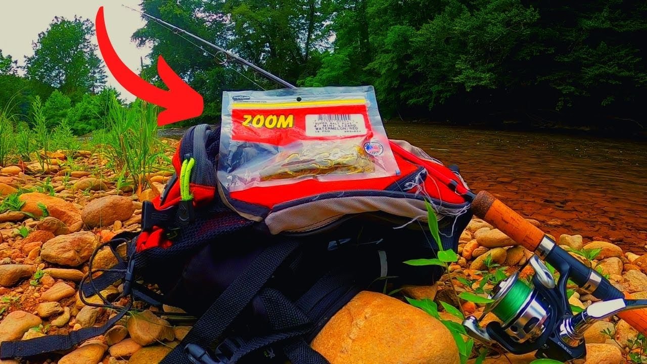 Constant Action!! Creek Fishing with a ZOOM Lizard