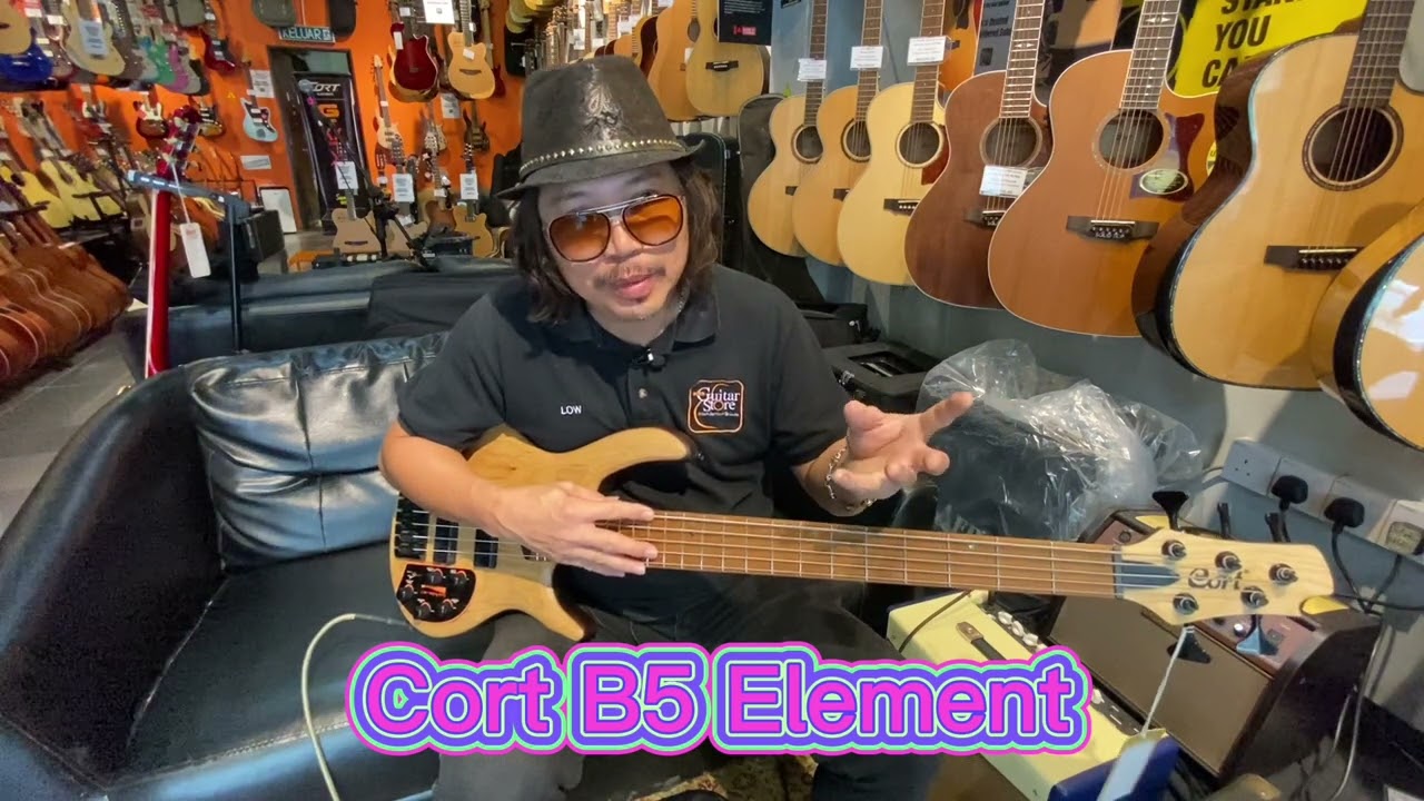 Introduction of Cort B5 Element