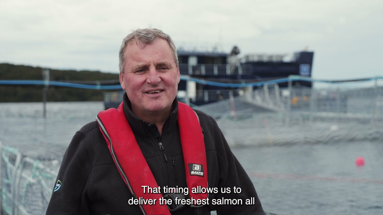 A Look Inside Our Salmon Farm – Sanford and Big Glory Bay