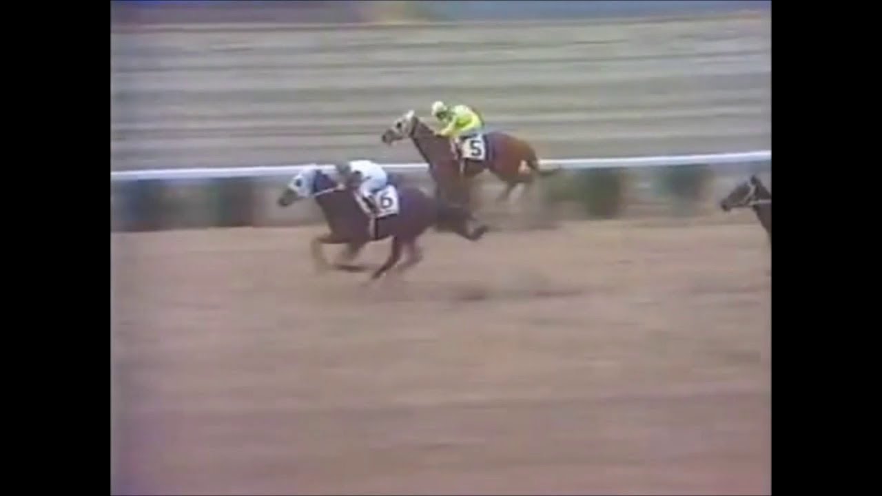 1973年弥生賞　怪物ハイセイコー、中央デビュー飾る！　～公営競馬から通算7連勝！