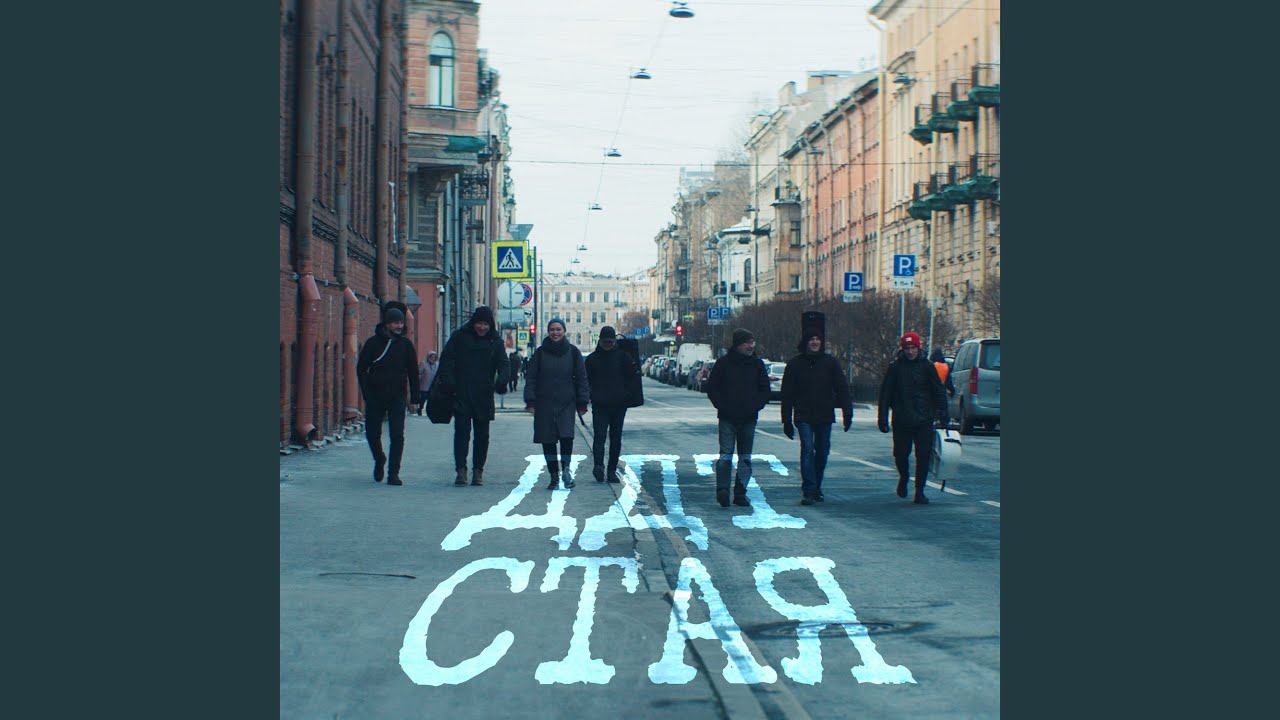 Стая