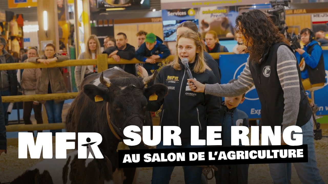 Les jeunes de MFR présentent la Bretonne Pie Noire au Salon de l’Agriculture
