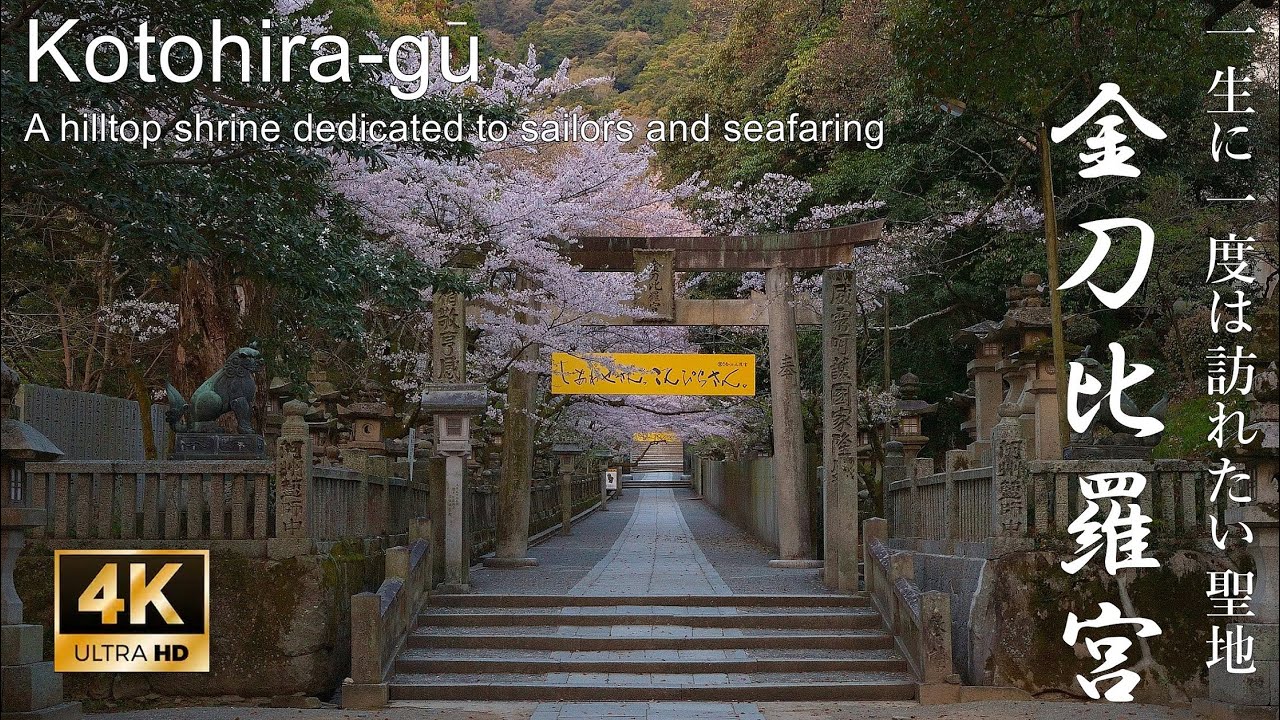 【4K】【超貴重映像】一生に一度はこんぴら参り、瀬戸内海を見守る桜満開のこんぴらさん：香川県・金刀比羅宮 (Kotohira-gū | Shikoku's most famous shrine)