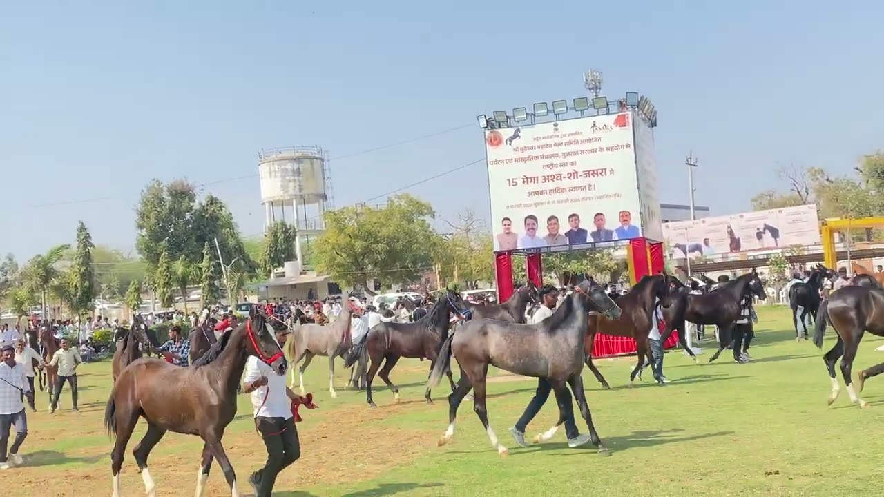 Jasara mela { horse } mela ￼￼￼