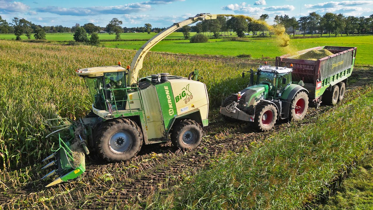 Mais Silage | Krone BiG X 650 + Fendt | Ten Hove | 2024