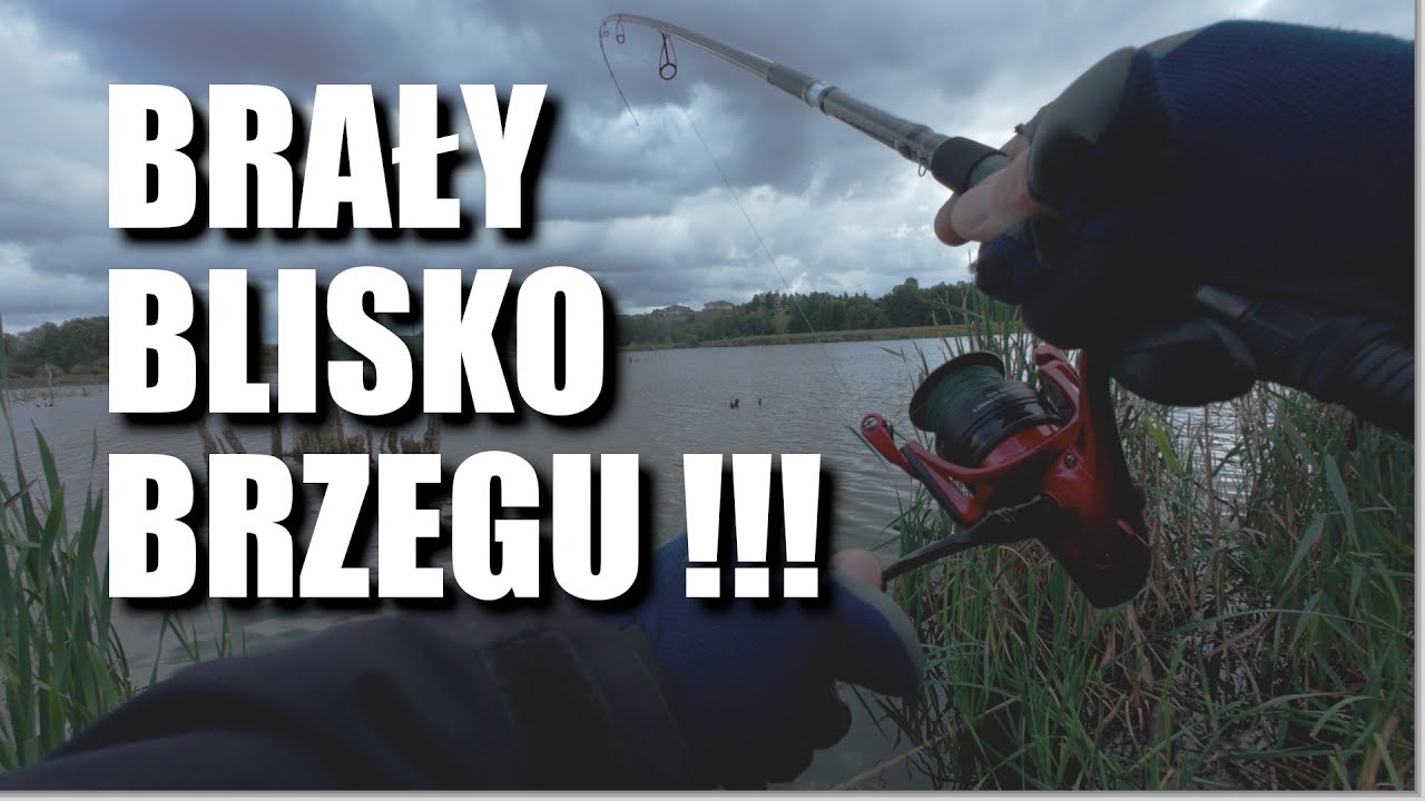 ZĘBATE BRAŁY TYLKO NA JEDNĄ PRZYNĘTĘ! NOWA WĘDKA !