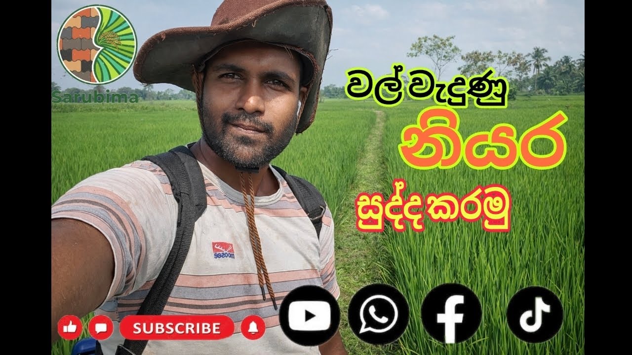 වල් වැදිච්චි නියර සුද්ද කරලා දාමු🌾