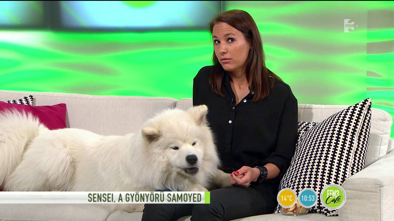 Ezzel a szőrpamaccsal jár fesztiválozni Julia Carpenter! - tv2.hu/fem3cafe