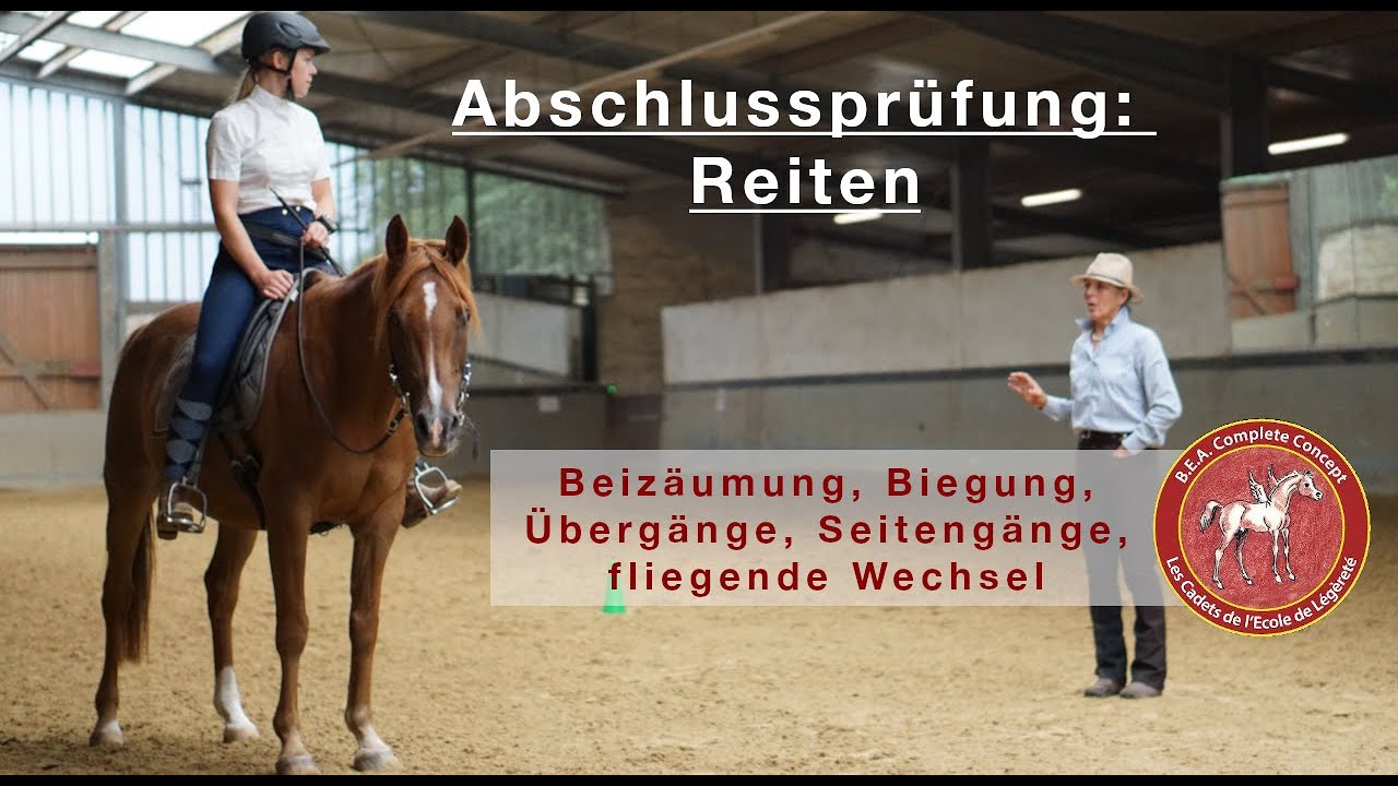 Abschlussprüfung: Reiten | B.E.A Complete Konzept | Reiten in der Ecole de Légèreté