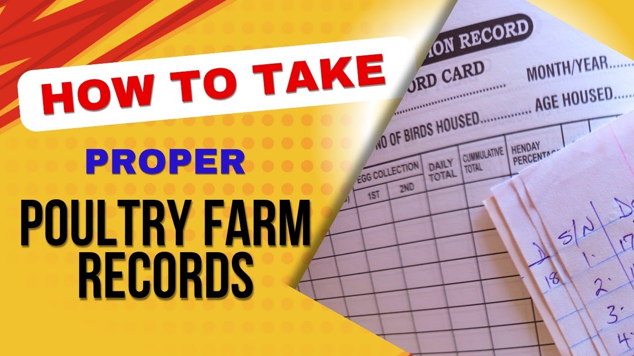 How to take proper poultry farm records