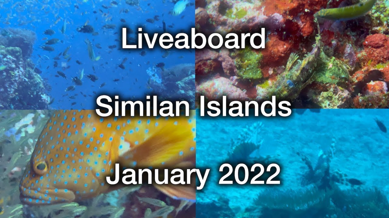 Diving Thailand - Liveaboard Similan Islands - January 2022