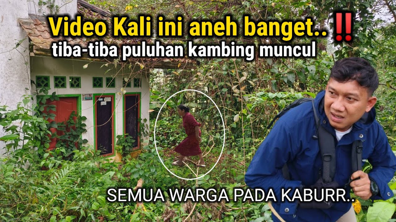 PLEASE.. INI MISTERIUS BANGET!! 60 TAHUN TERSEMBUNYI PILIH TINGGAL DI RUMAH TENGAH HUTAN BELANTARA