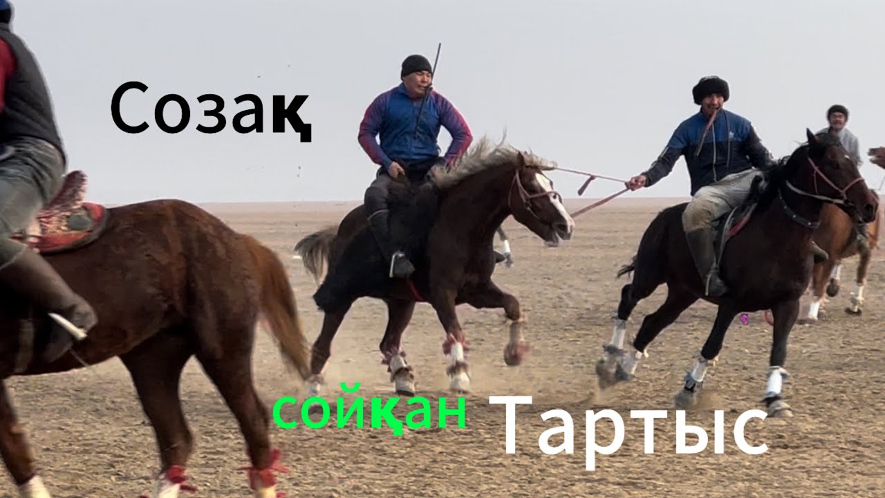 #horse #Созақ#дода #rek #кокпар #тіркеліпкет 