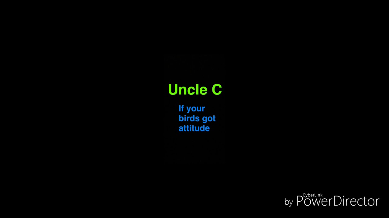 Uncle C - If your birds got attitude
