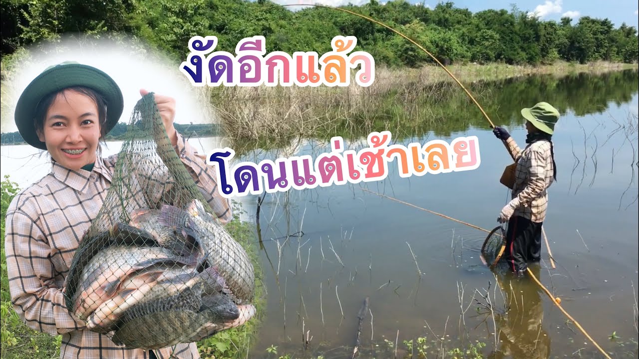 #ตกเบ็ดคันไม้ไผ่ งัดอีกแล้ว...โดนแต่เช้าเลย กับหมายเขื่อนแม่ประจันต์