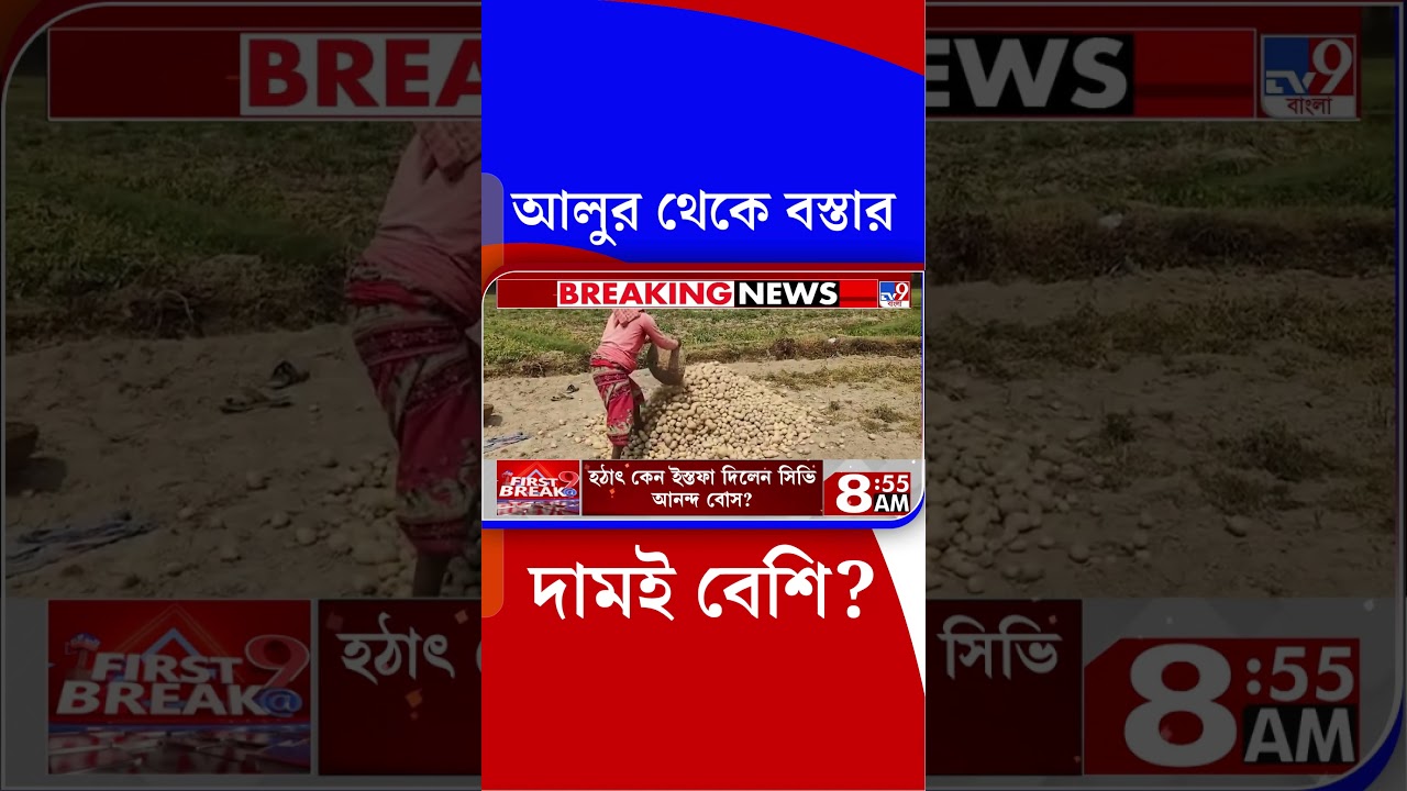 আলুর থেকে বস্তার দামই বেশি? | #Shorts