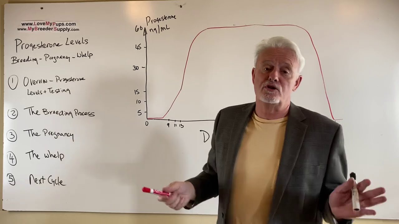 Part 1of 5 Progesterone levels breeding and whelping dogs