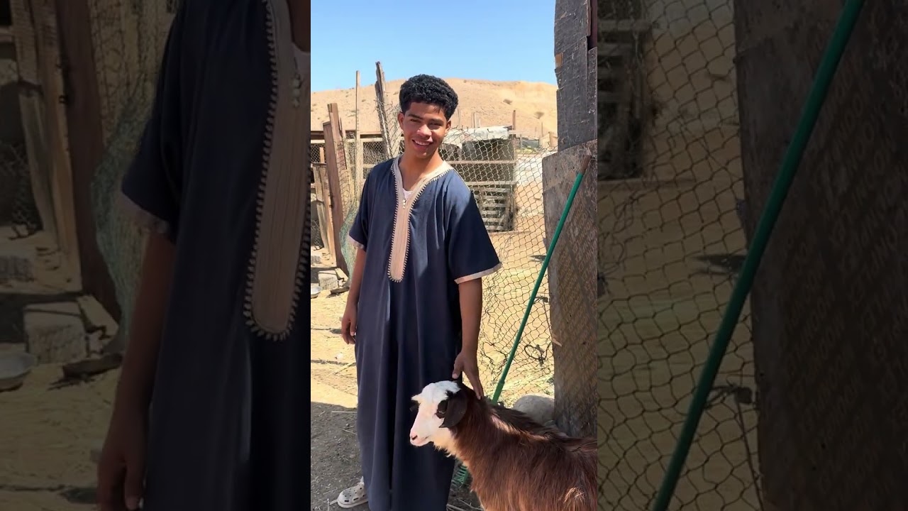 ضروري نزيد وجابت الحلال فالشتاء 