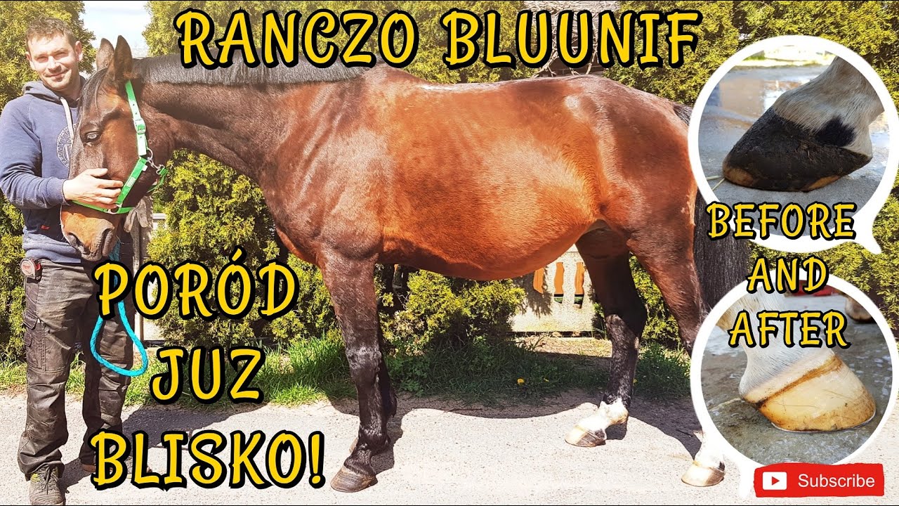 PRZEDPORODOWE SPA WELL / MYJEMY KLACZ PRZED PORODEM