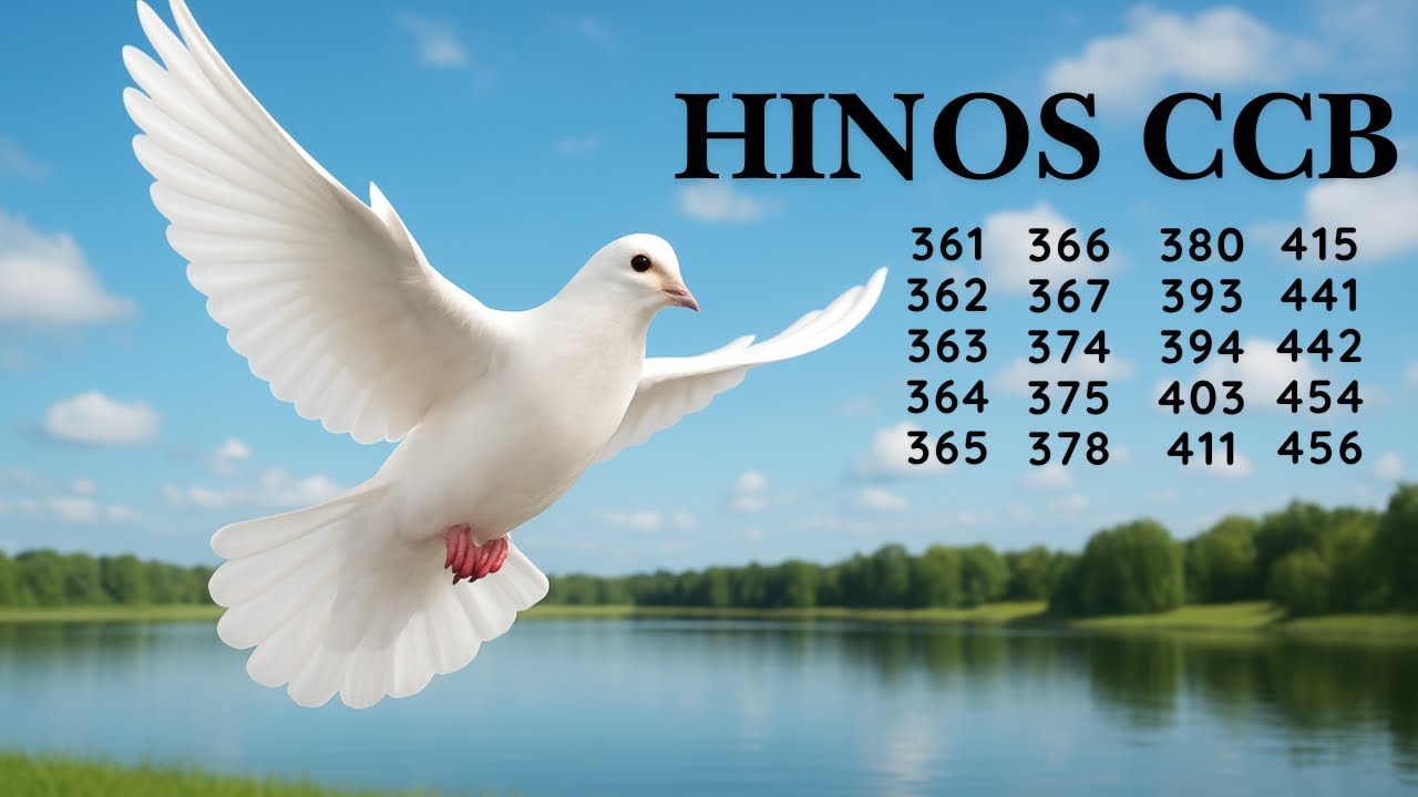 HINO CCB - 39 |  361 362 363 364 365 366 367 374 375 378 380 393 394 403 411 415 441 442 454 456