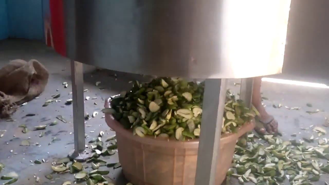 Mango cutting machine