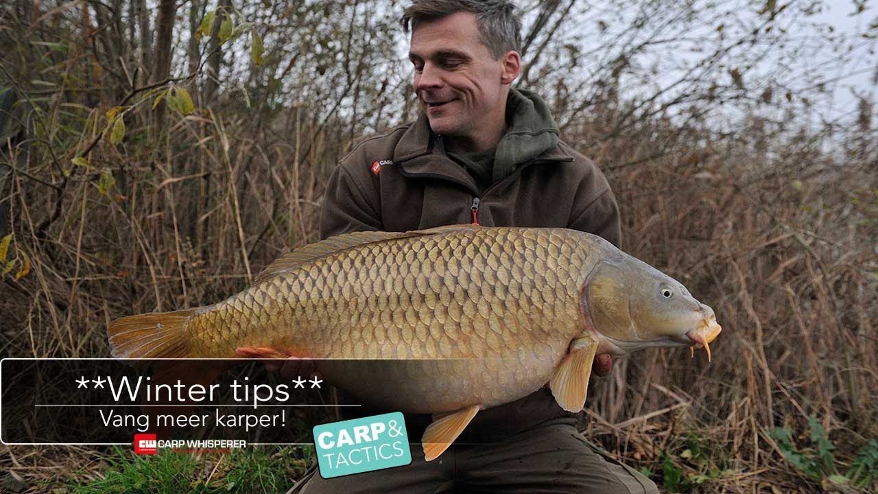 Vang meer karper met deze wintertips!
