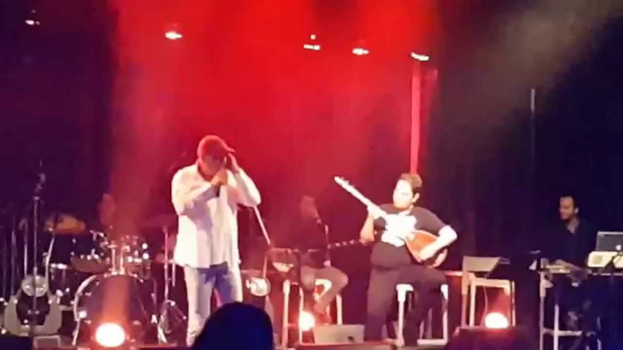 עופר לוי - מאוול לנצח לאהוב מתוך האנגר 11