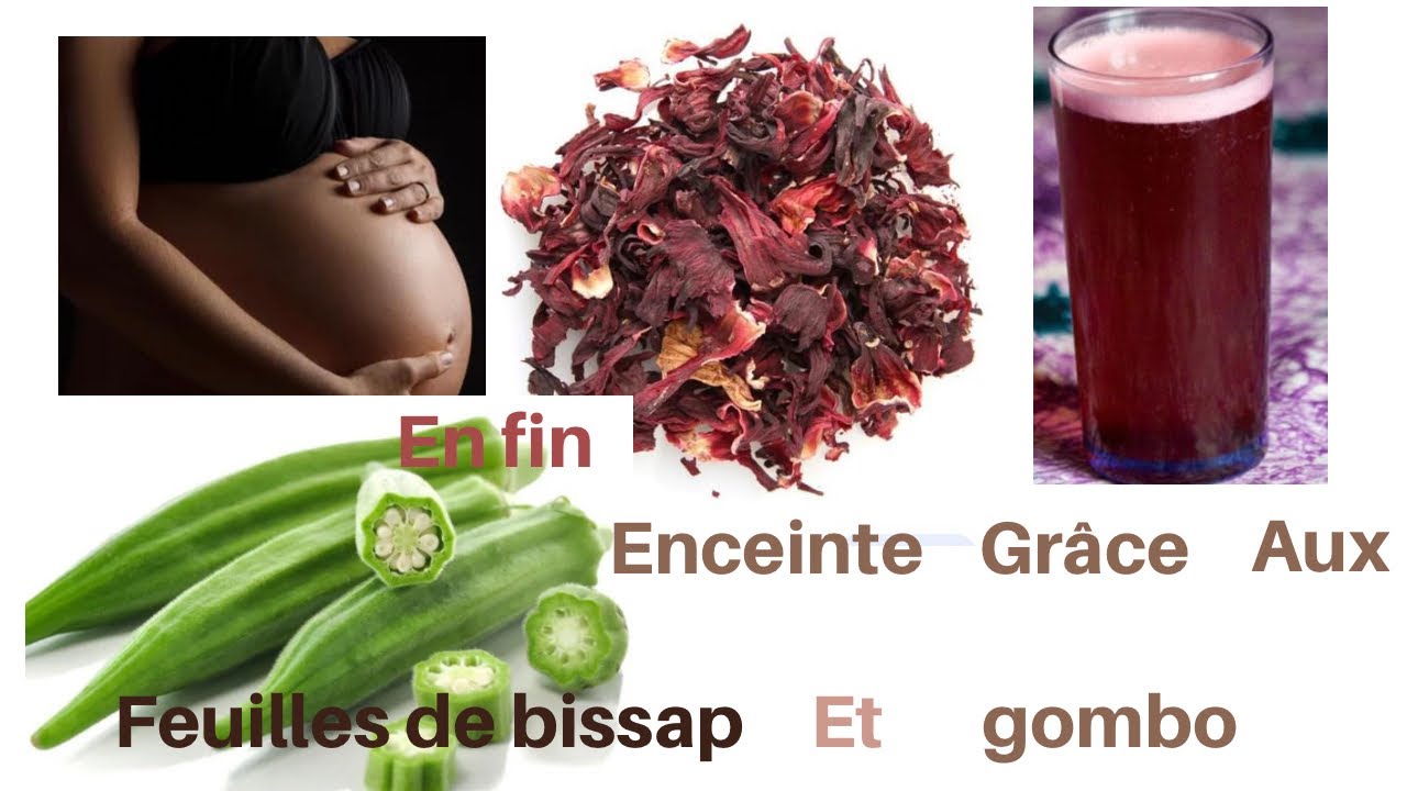 Comment tomber enceinte avec les feuilles de bissap et du gombo