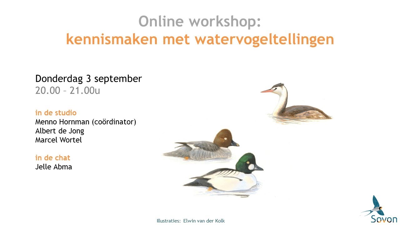 Online workshop: kennismaken met watervogeltellingen