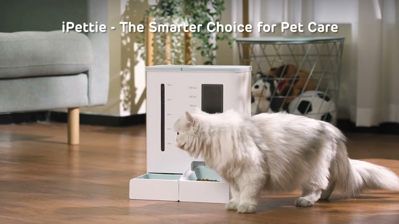 iPettie FW54 WiFi Automatic Feeder and Waterer Set: Make Feeding More Easier and Free