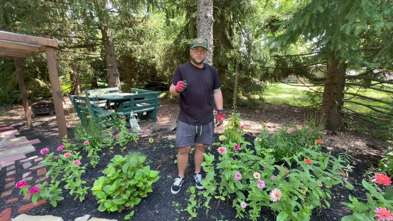 Tour of My Greenhouse & Transplanting