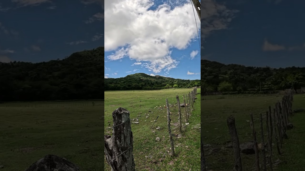 Campos de Guantanamo,Cuba.