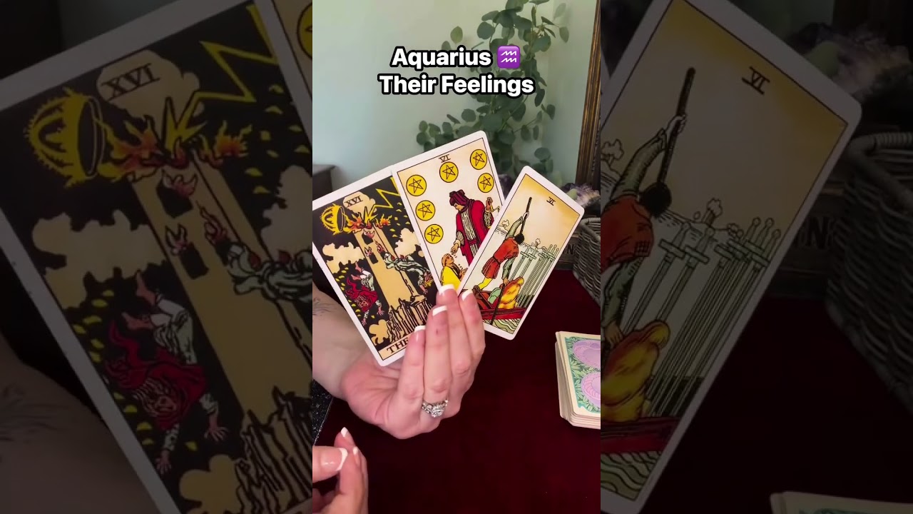 Aquarius ♒️ Their Feelings 