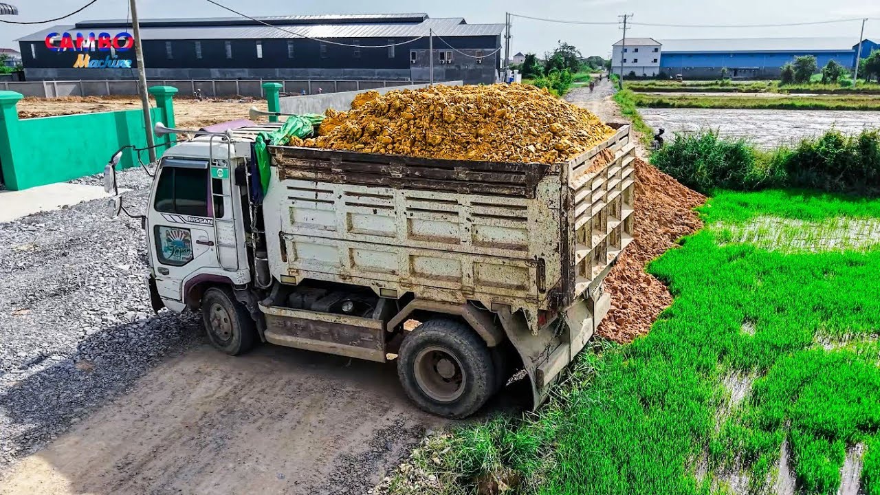NICELY! Start Project Landfill by Expert Skill Driver 5TTrucks Unloading Rocksoil&Dozer KOMATSU D31P