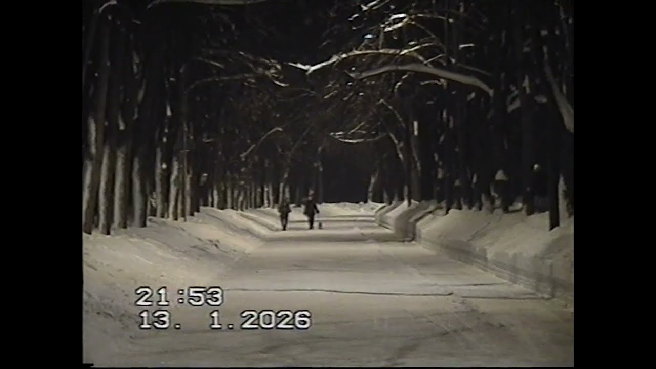 Парк Сокольники зима 2026 (Panasonic RX22) VHS