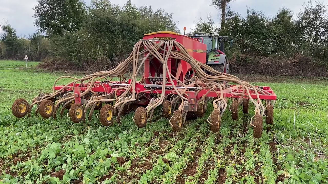 Semis de blé tendre Acs sur repousses de colza