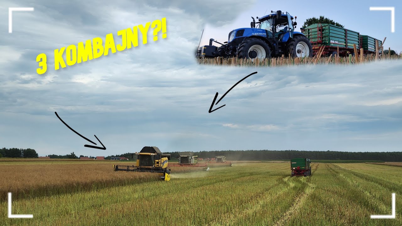 ŻNIWA RZEPACZANE NA 3 KOMBAJNY 🌱🔥@modarolniczka7576 Dzień drugi