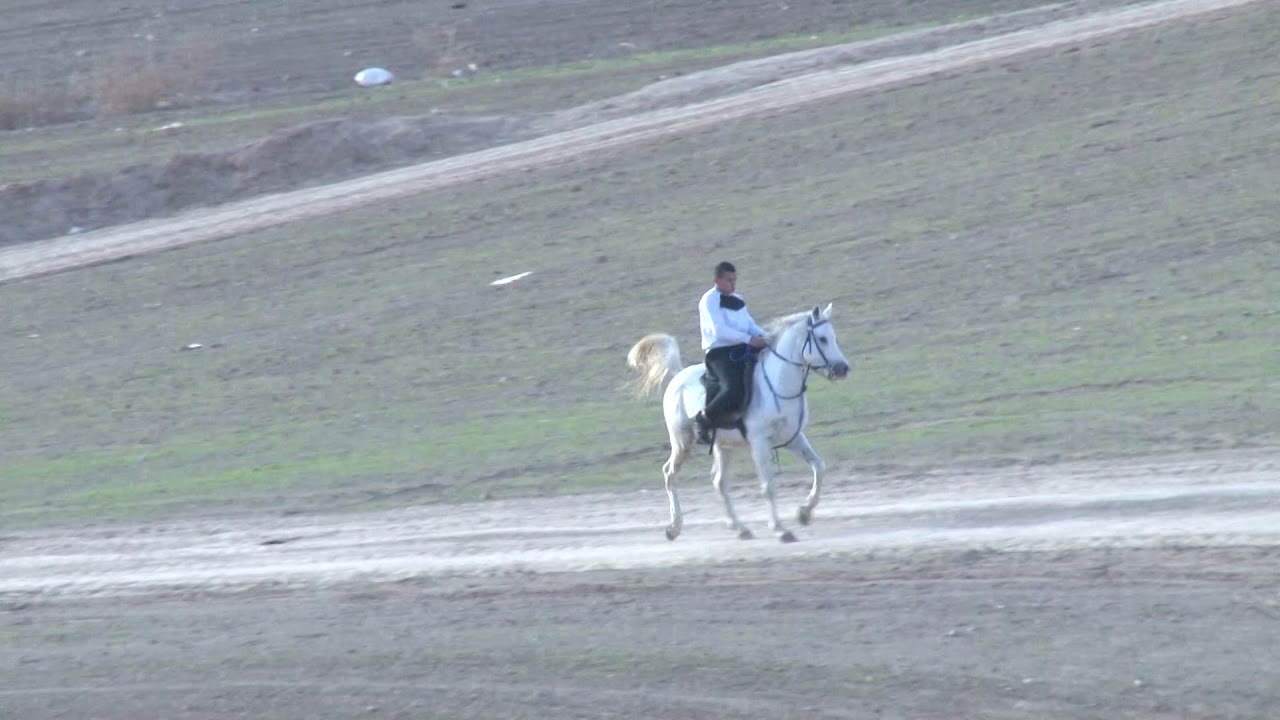 ميدان الهزيل