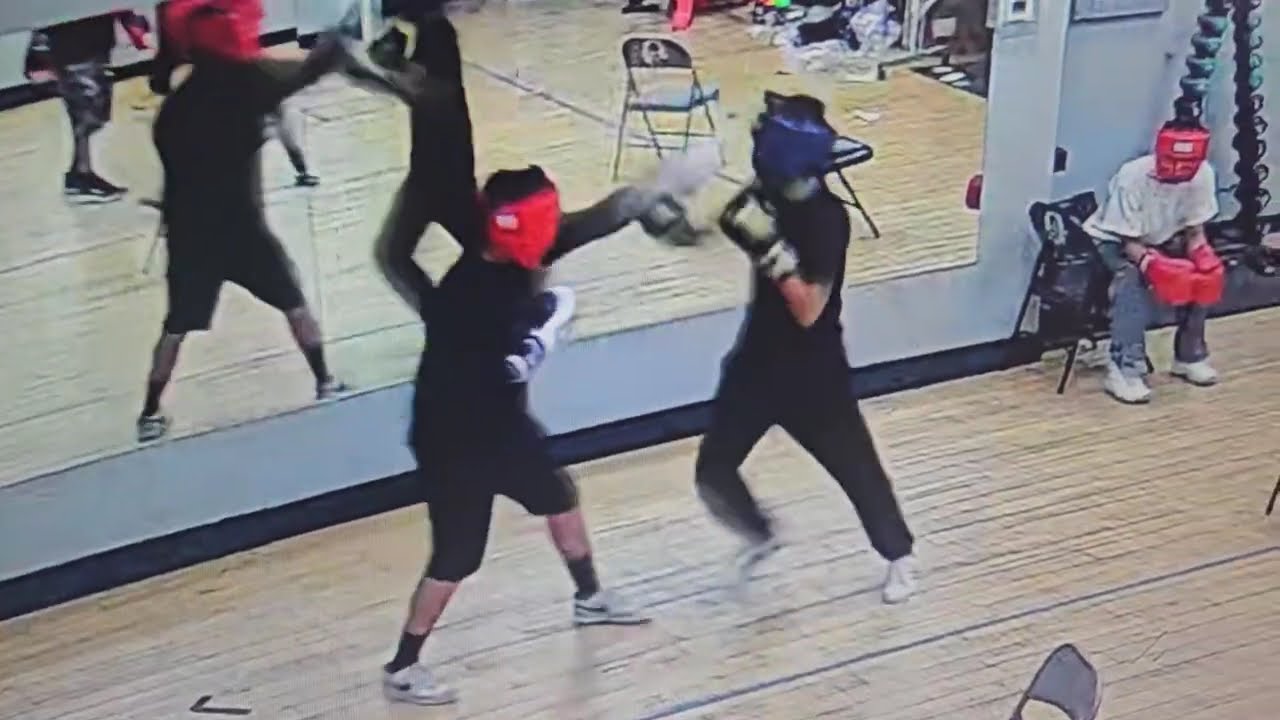 Gio vs Sh 3