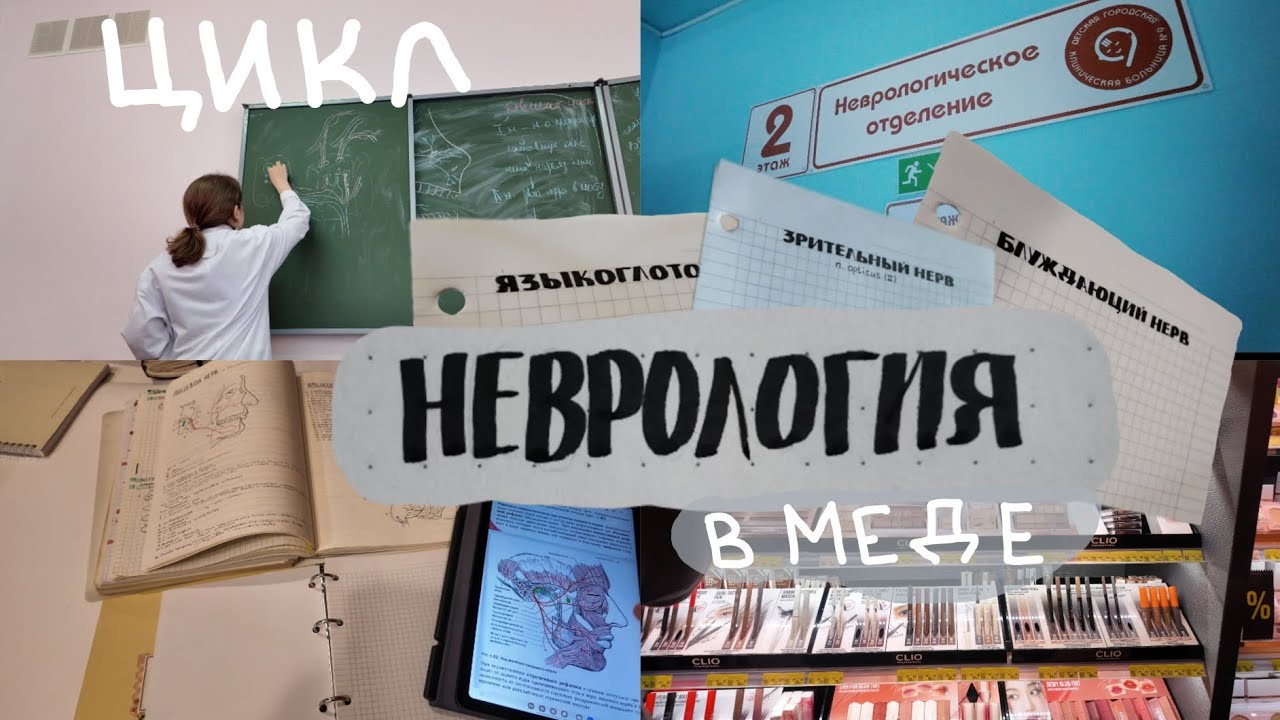 Цикл неврологии в меде | конспекты, автобусы, театры | Блог студентки медицинского