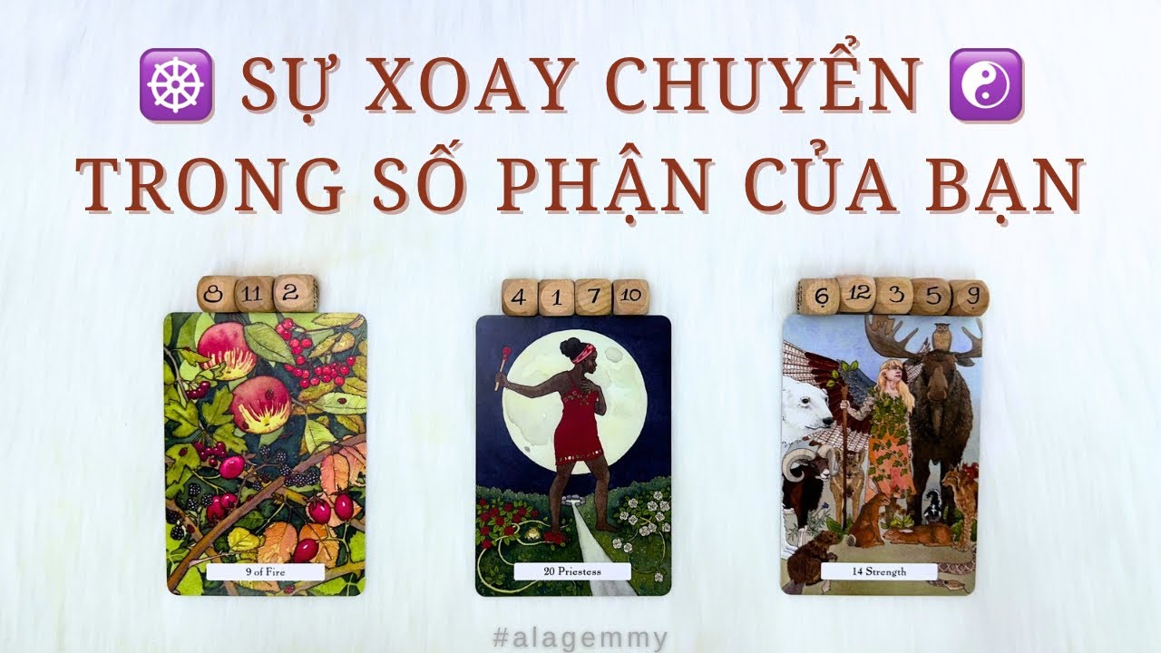☸️SỰ XOAY CHUYỂN TRONG SỐ PHẬN CỦA BẠN☯️♨️🔥🌬️🌪️Tarot🫧✨🌈