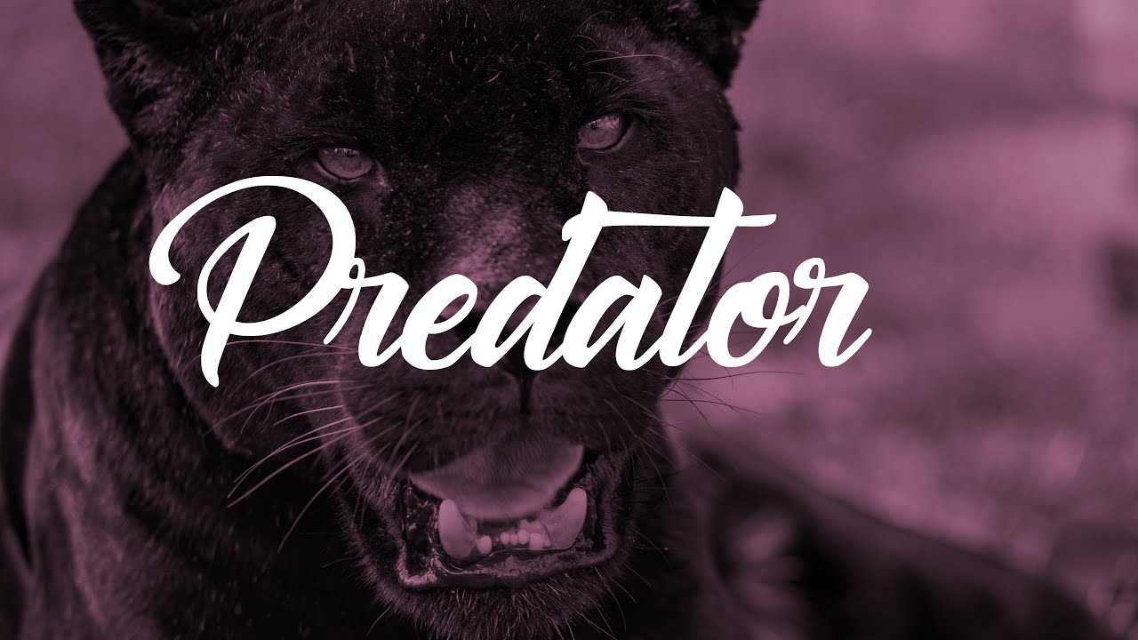 *Free* Waka Flocka Flame Type Beat - "Predator" | Free Instrumental